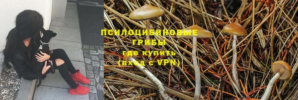 каннабис Карпинск